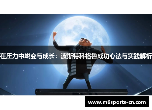 在压力中蜕变与成长:波斯特科格鲁成功心法与实践解析