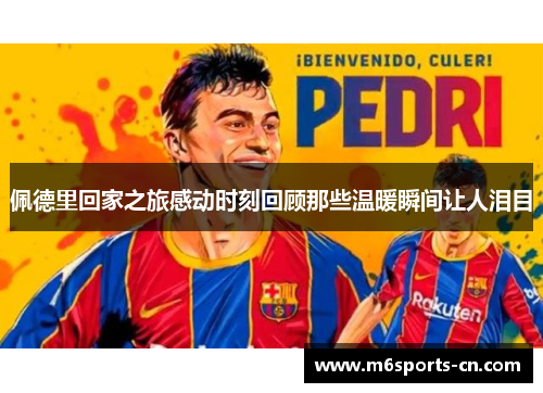 佩德里回家之旅感动时刻回顾那些温暖瞬间让人泪目