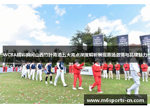 WCBA精彩瞬间山西竹叶青酒五大亮点深度解析展现赛场激情与品牌魅力
