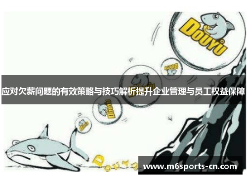 应对欠薪问题的有效策略与技巧解析提升企业管理与员工权益保障