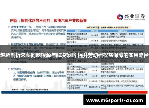 赵鹏剖析欠薪问题根源与解决策略 提升劳动者权益保障的实用路径