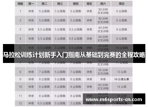 马拉松训练计划新手入门指南从基础到完赛的全程攻略